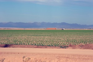 Imperial County Employers May Request 60-Day Extension