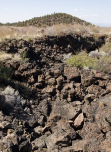 Modoc County Employers May Request 60-Day Extension 