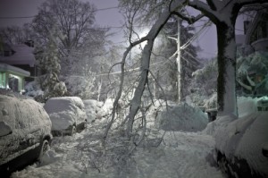 Preparing for Workplace Disaster Emergencies